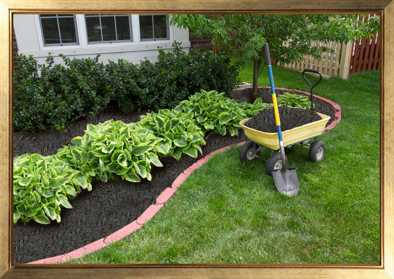 Black Mulch