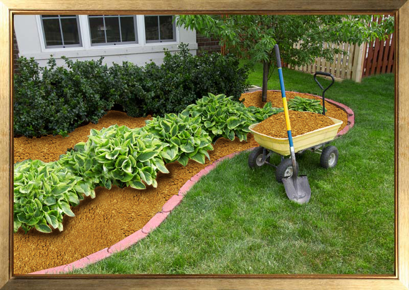 Gold Mulch