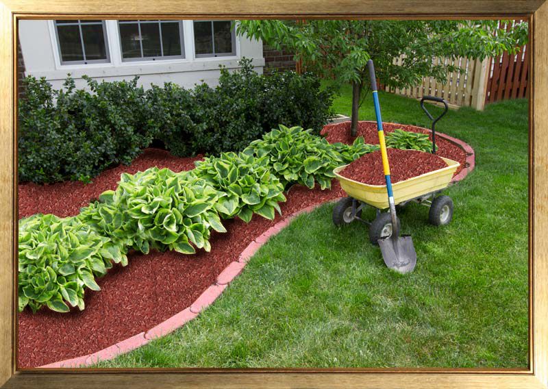 Red Mulch